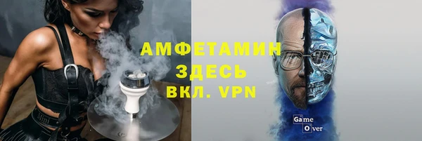 прущие грибы Каменногорск