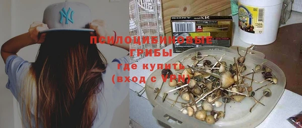 jwh Каменка